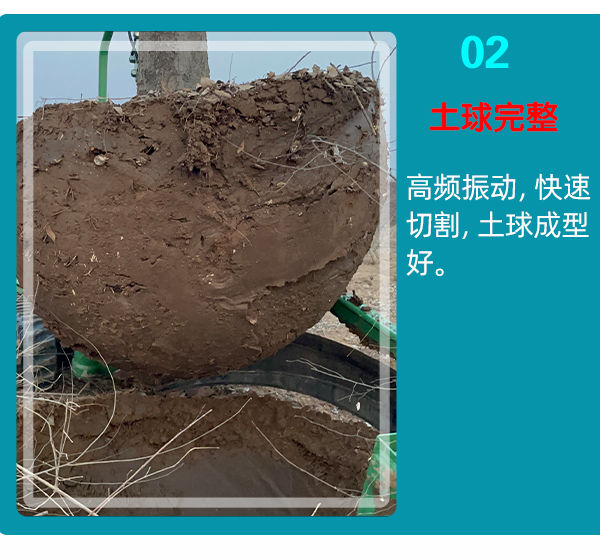 污版香蕉视频APP